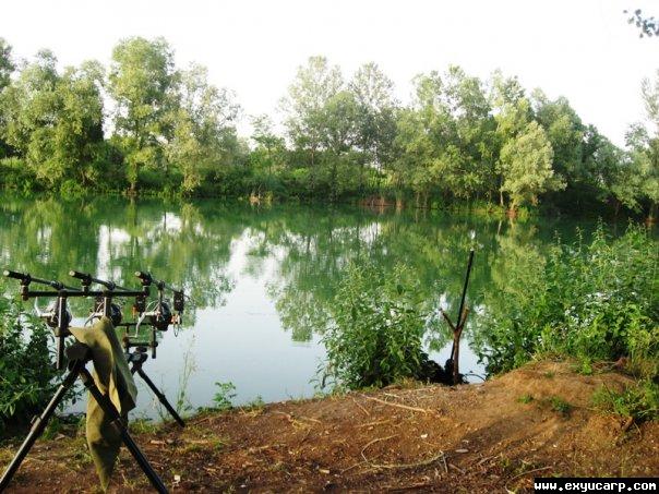 pre_1392049206__11839_226194344399_37249