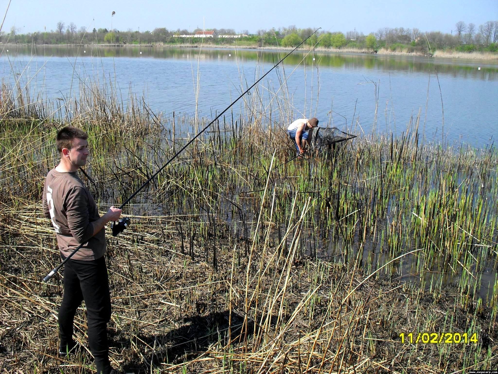 pre_1397674727__10170220_718584158161807