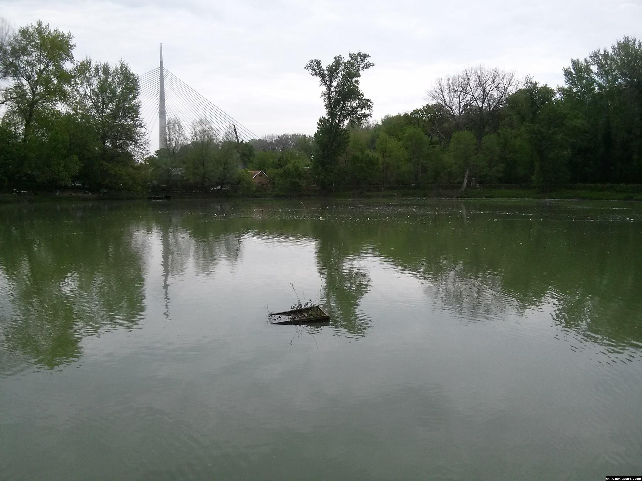 pre_1397801528__10260647_102035062489571