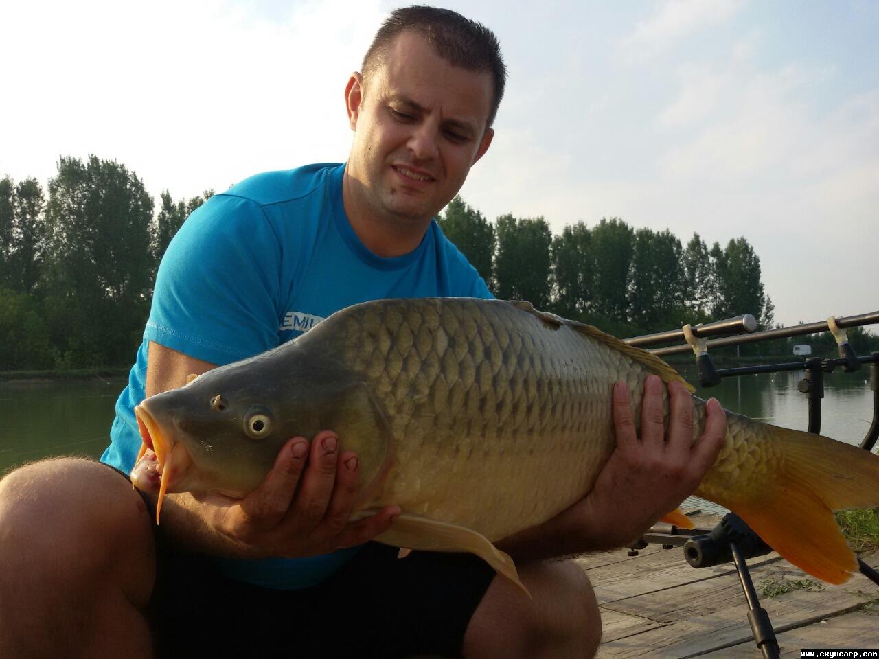 pre_1442144053__image-ad0eb629151513b0c0