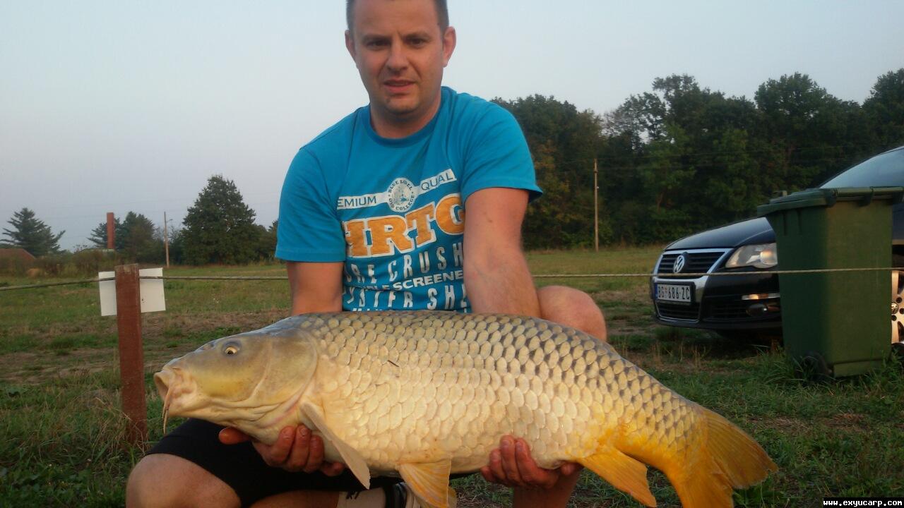 pre_1442149062__image-72adb78aed7eb8ebe3