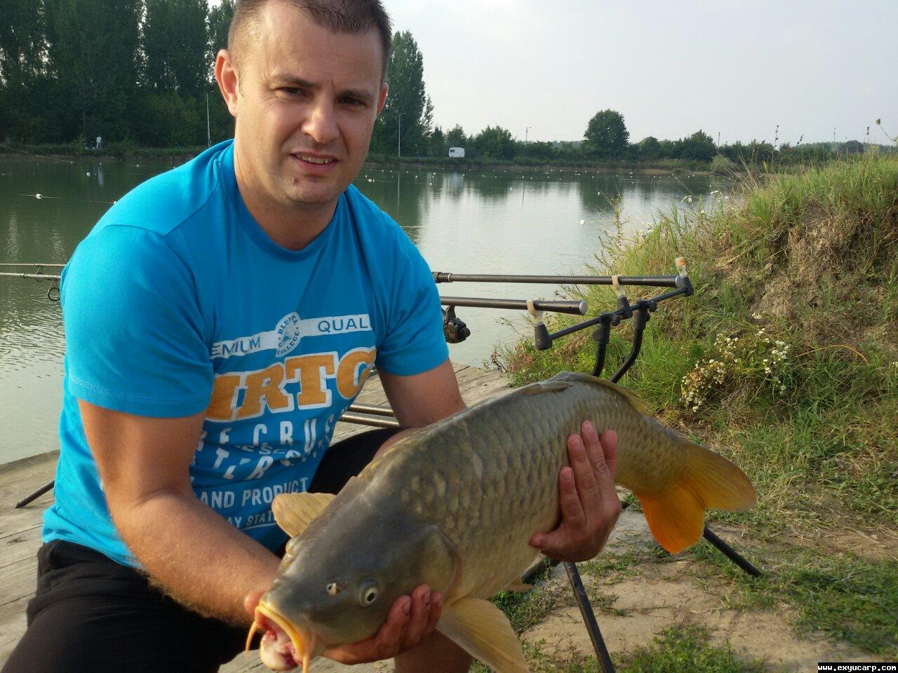 pre_1442149090__image-07f2bdb1aa74d1ffdd