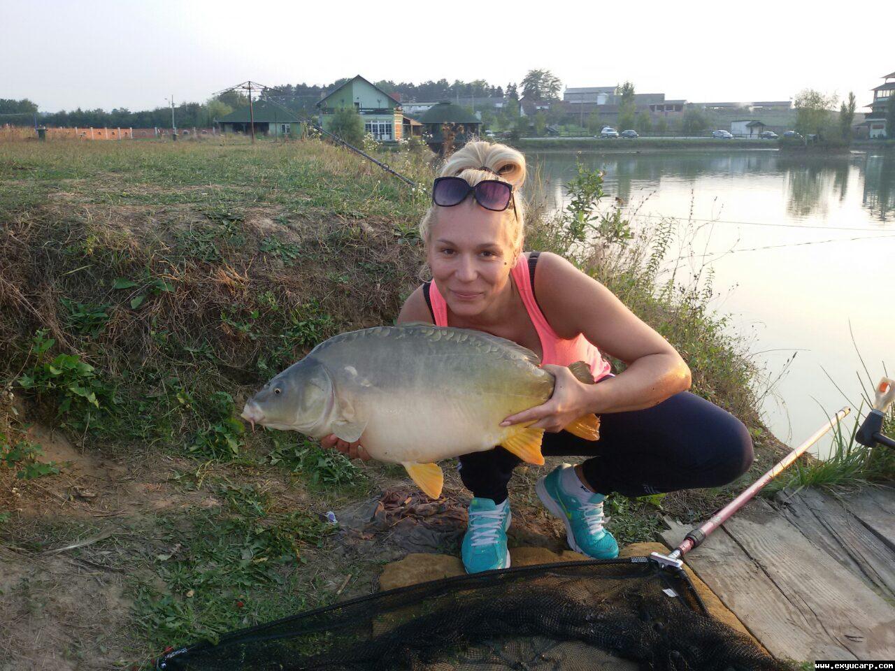 pre_1442607211__image-419febe0e9275d576b