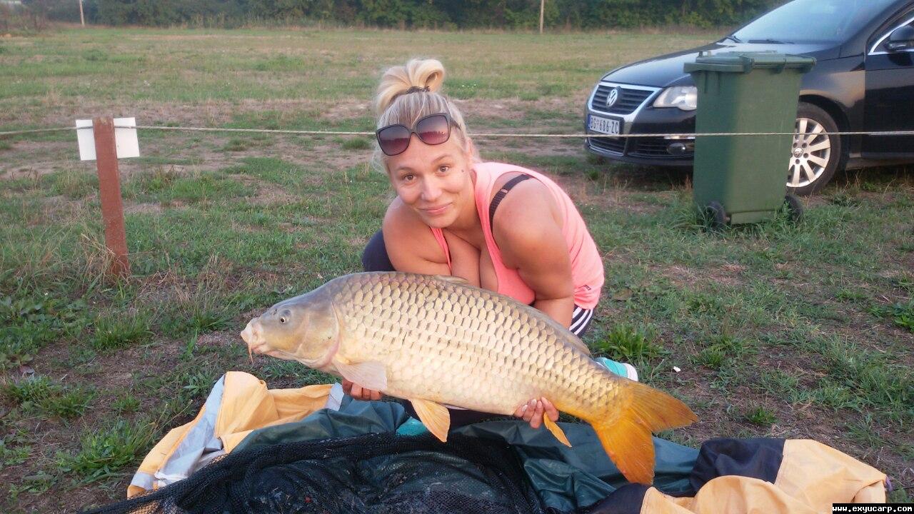 pre_1442607232__image-7ddebafdeb50de080d