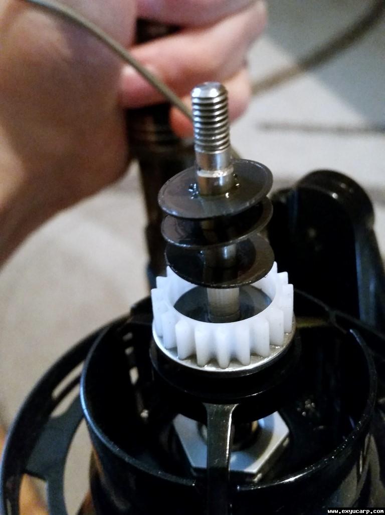 pre_1478167346__20161103_103021_medium.j