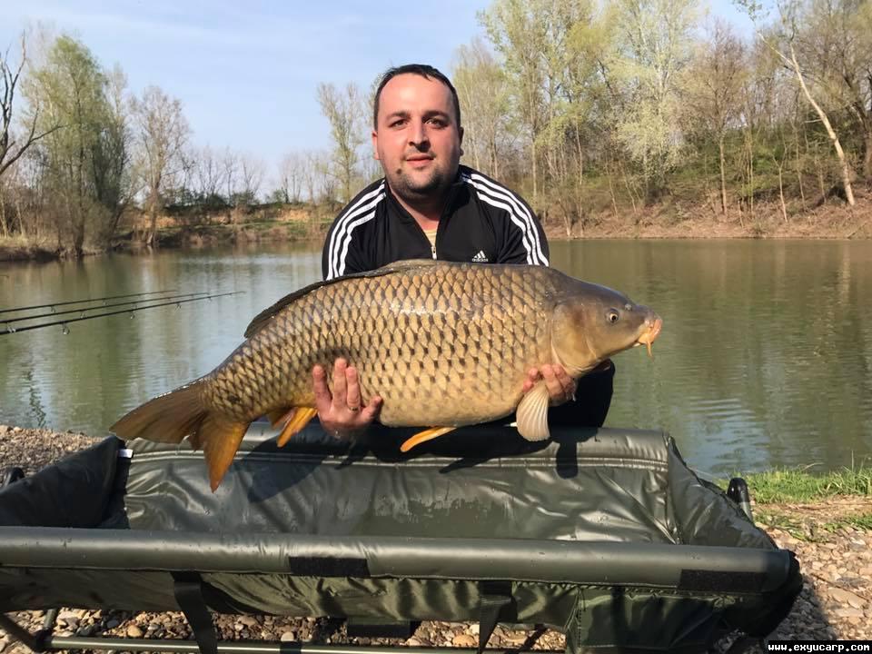 pre_1490679119__17554422_188555442499145