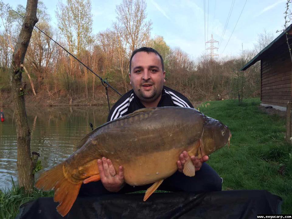 pre_1490679165__17458239_188556126499076