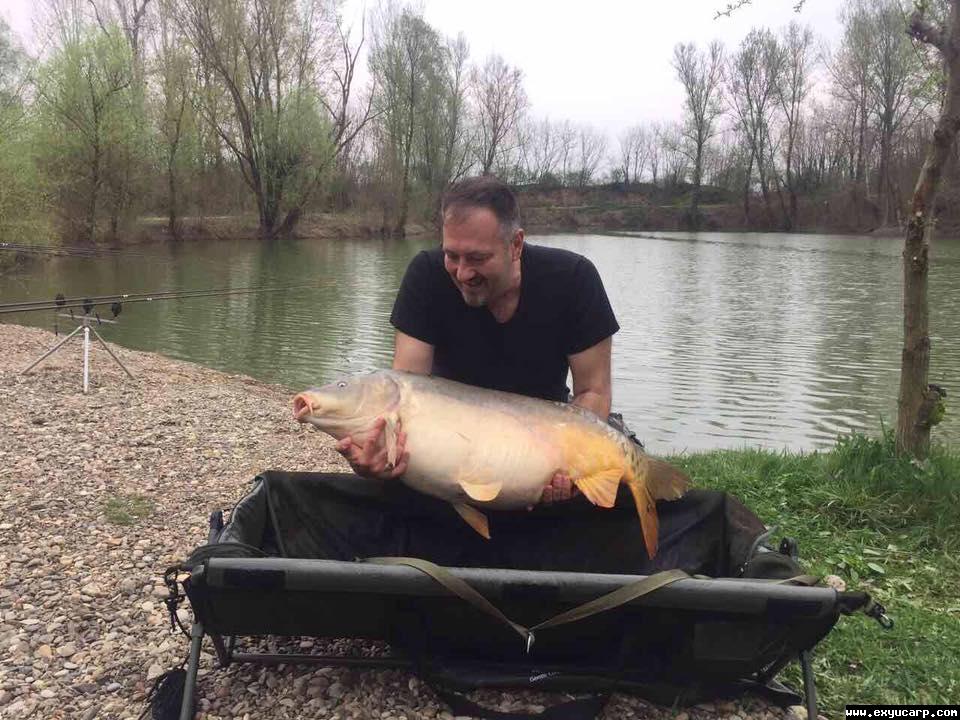 pre_1490679820__17498456_102126121301683