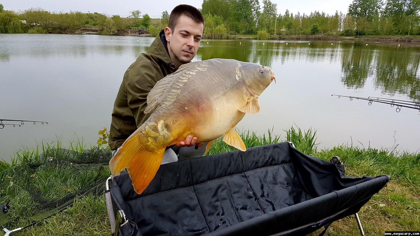 pre_1493233415__20170415_110444_medium.j