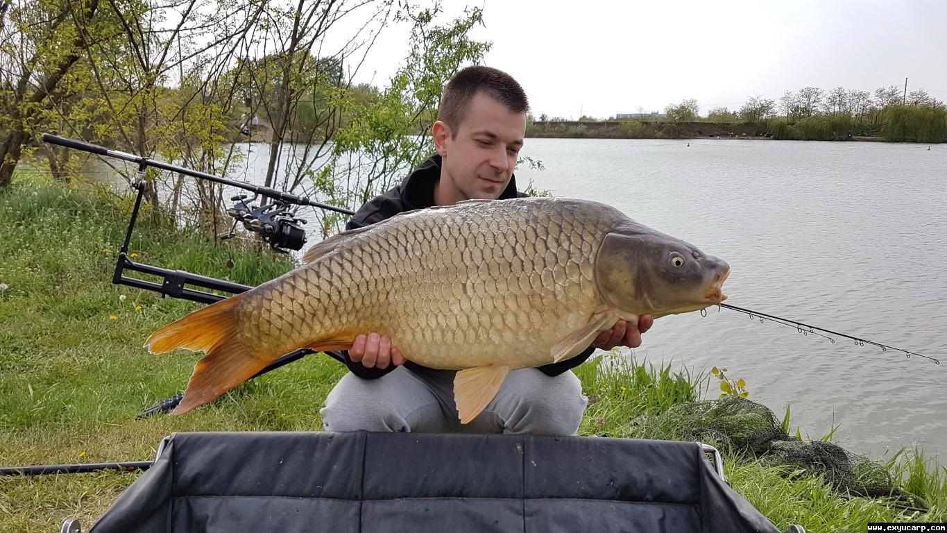 pre_1493233496__20170415_140830_medium.j