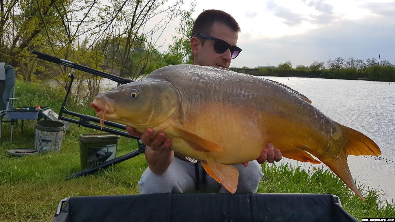 pre_1493233563__20170415_160424_medium.j