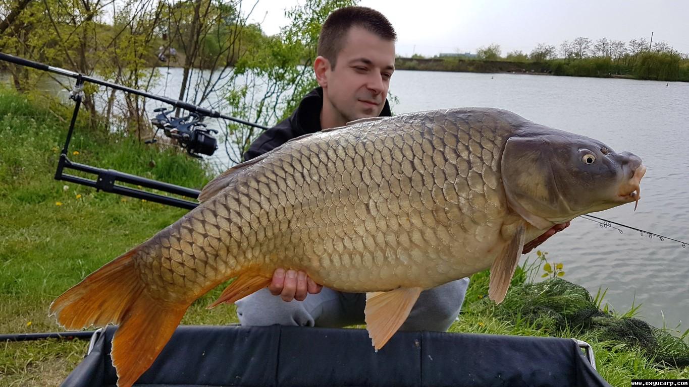 pre_1493233735__20170415_140906_medium.j