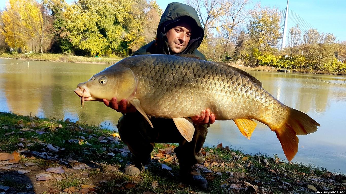 pre_1511604761__20171105_1208420_medium.