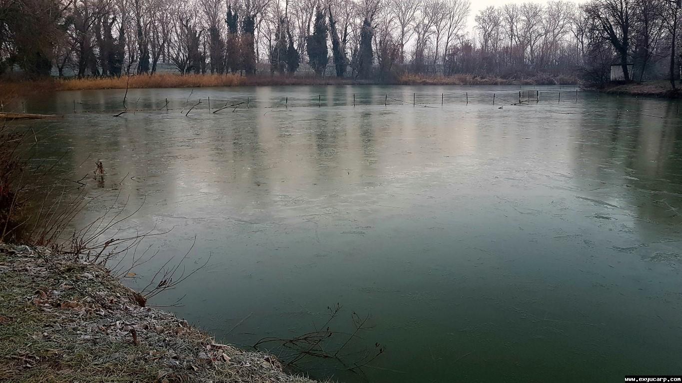 pre_1512652269__20171207_070113_medium.j