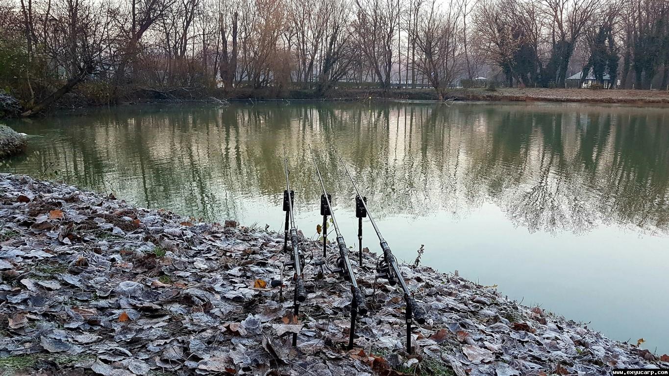 pre_1512652331__20171207_072120_medium.j