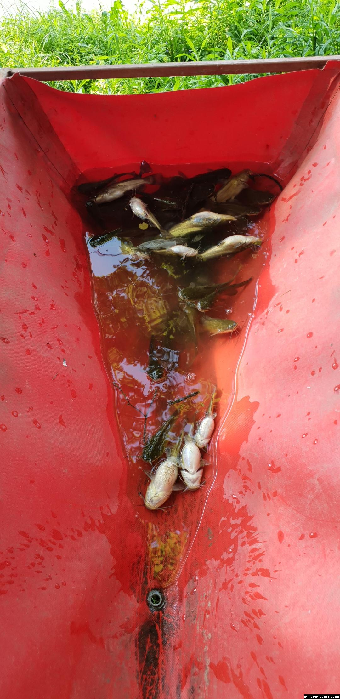 pre_1527095000__screenshot_20180523-1901