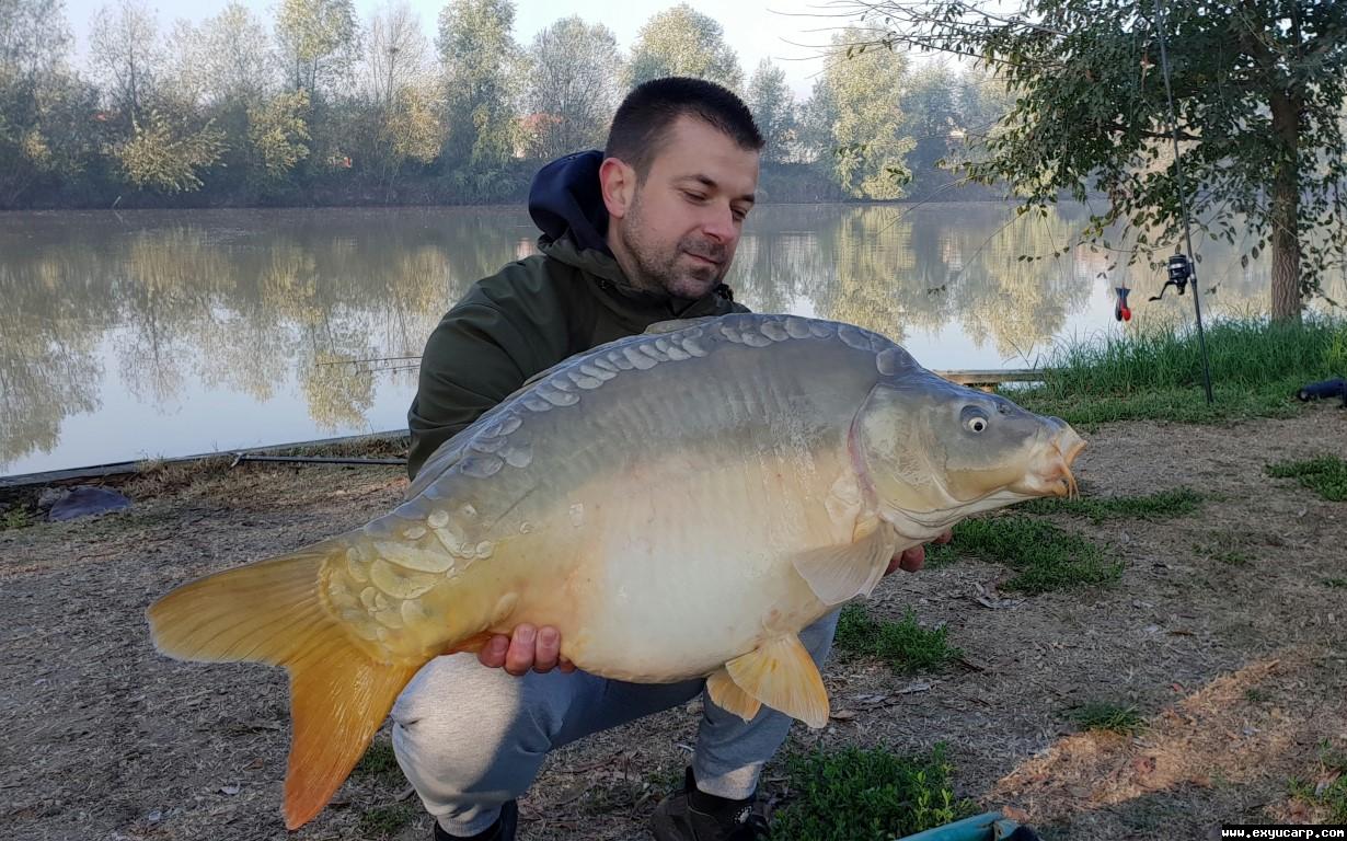 pre_1542224531__20181112_081858_medium.j