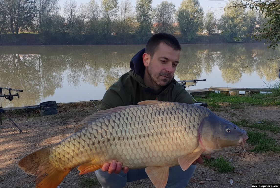 pre_1542224594__20181112_090414_medium.j