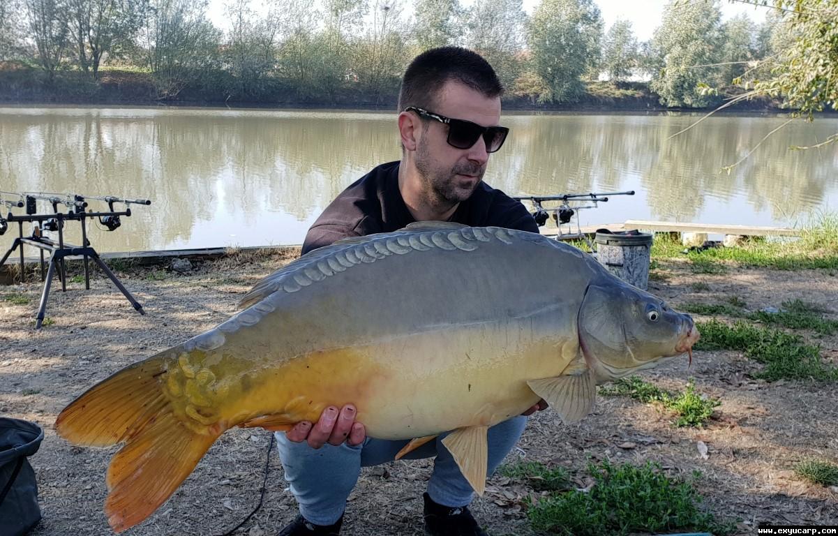 pre_1542224630__20181112_104416_medium.j