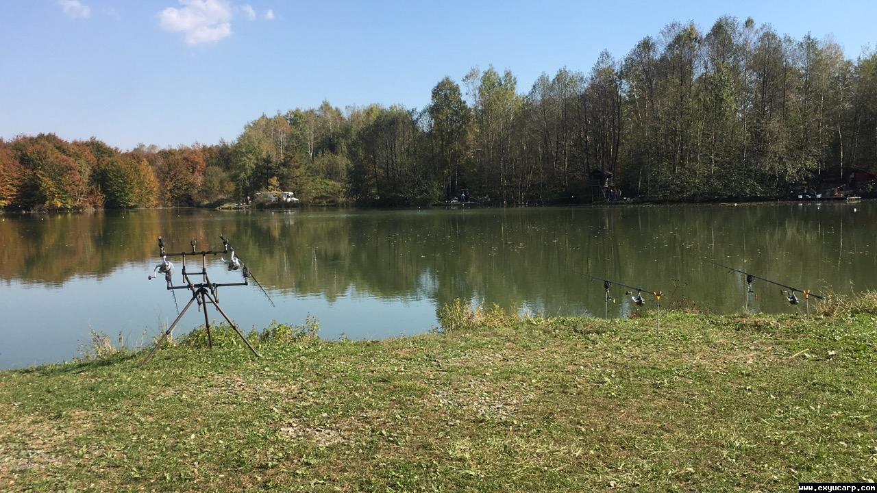 pre_1542714443__img_0060.jpg