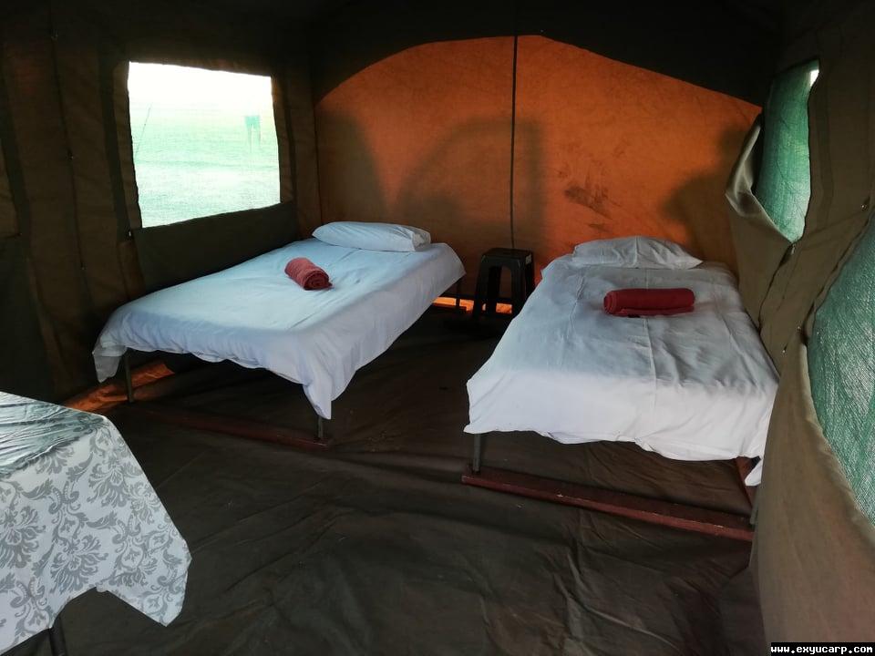 pre_1549659458__51489282_205080453166727