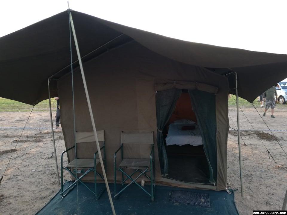 pre_1549659509__51804031_343394139602395