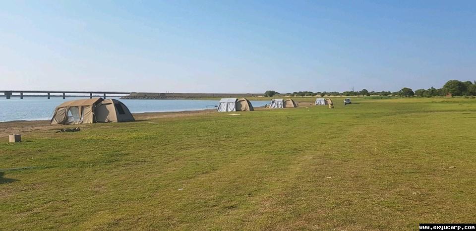 pre_1549719764__51559154_245399783128192