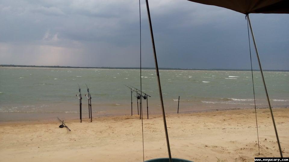 pre_1549804889__51675141_394470444636221