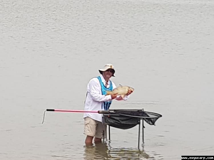 pre_1549819242__51720744_235194644484028