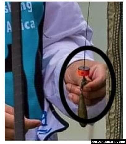 pre_1550077814__51645271_101388154546194