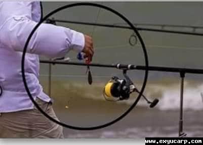 pre_1550077903__51781262_238936485801661