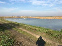 thumb_pre_1521709734__img-20180322-wa000