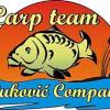 carp team vukovic company